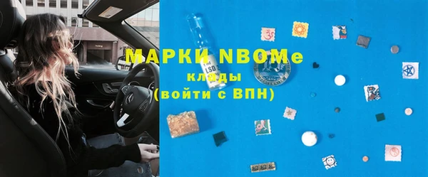 индика Балахна