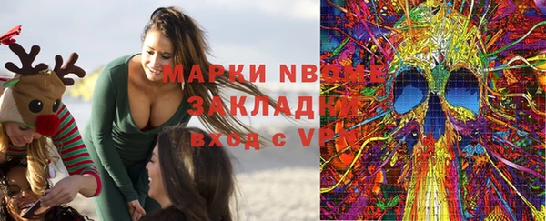 индика Балахна