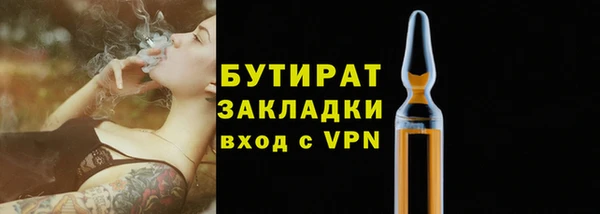 индика Балахна