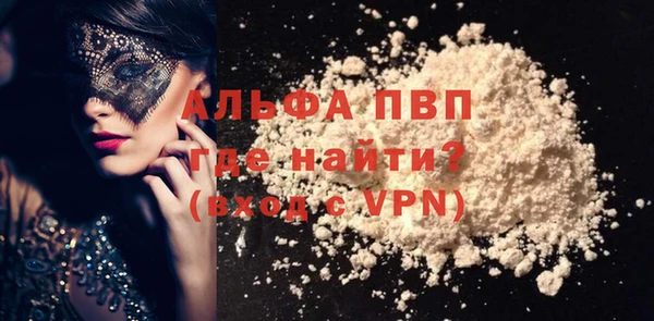 индика Балахна