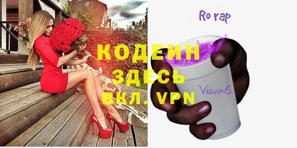 индика Балахна