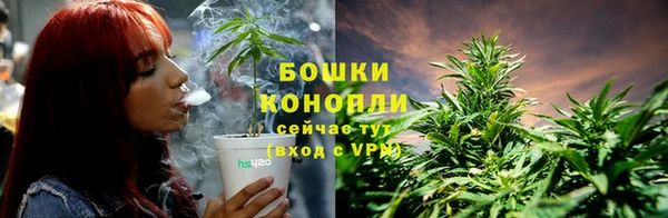 индика Балахна