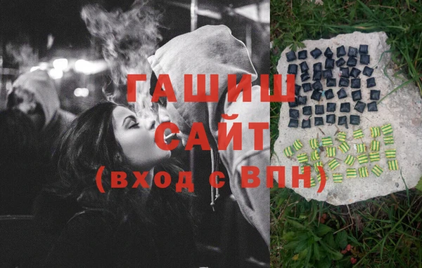 индика Балахна