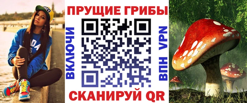 Псилоцибиновые грибы Magic Shrooms  мега ONION  Щёлкино 